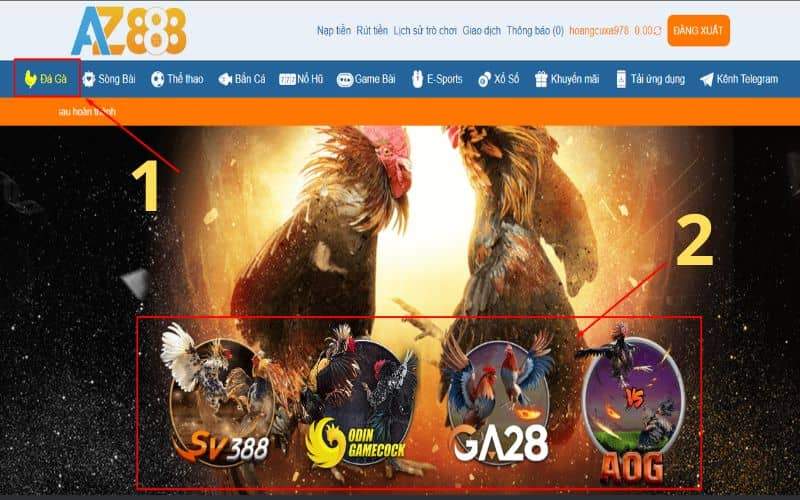Hướng dẫn các bước đặt cược đá gà cựa dao tại AZ888 Hướng dẫn các bước đặt cược đá gà cựa dao tại AZ888